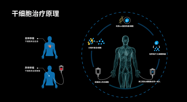 明日方舟，tag搭配让战斗虎翼