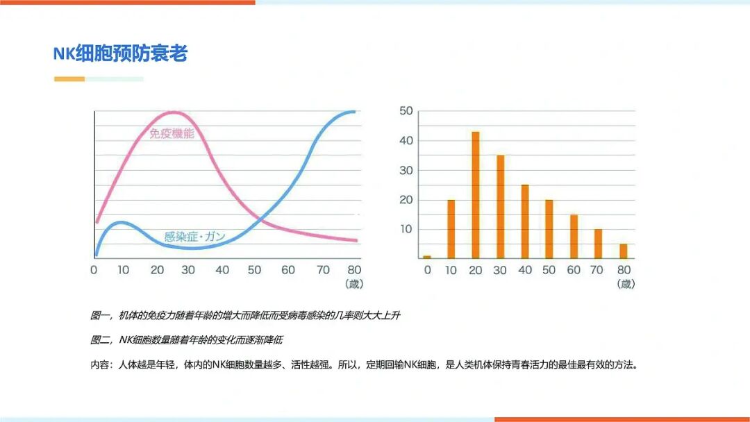 明日方舟干员tag搭配：谁更胜一筹？