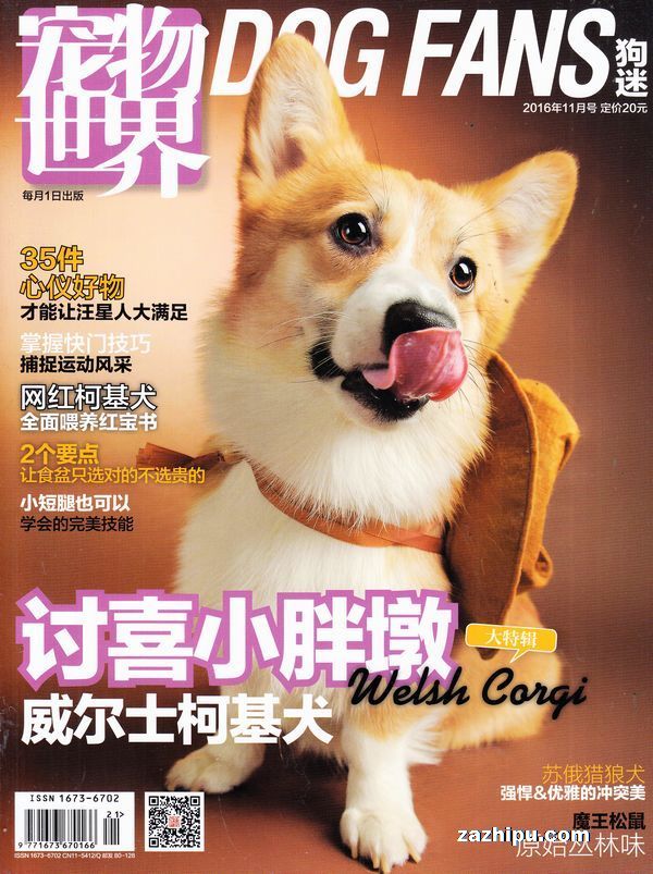 宠物世界狗迷杂志电子版_宠物迷作文600字_迷宠宠物店