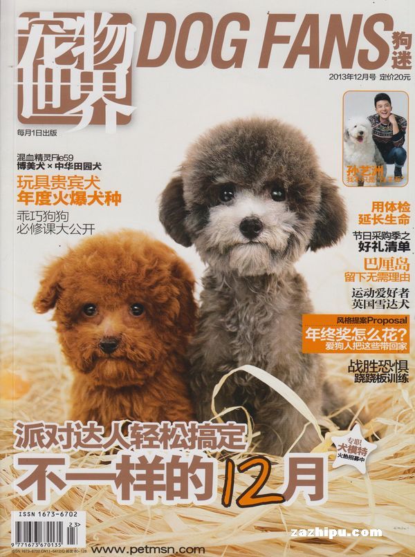 迷宠宠物店_宠物迷作文600字_宠物世界狗迷杂志电子版