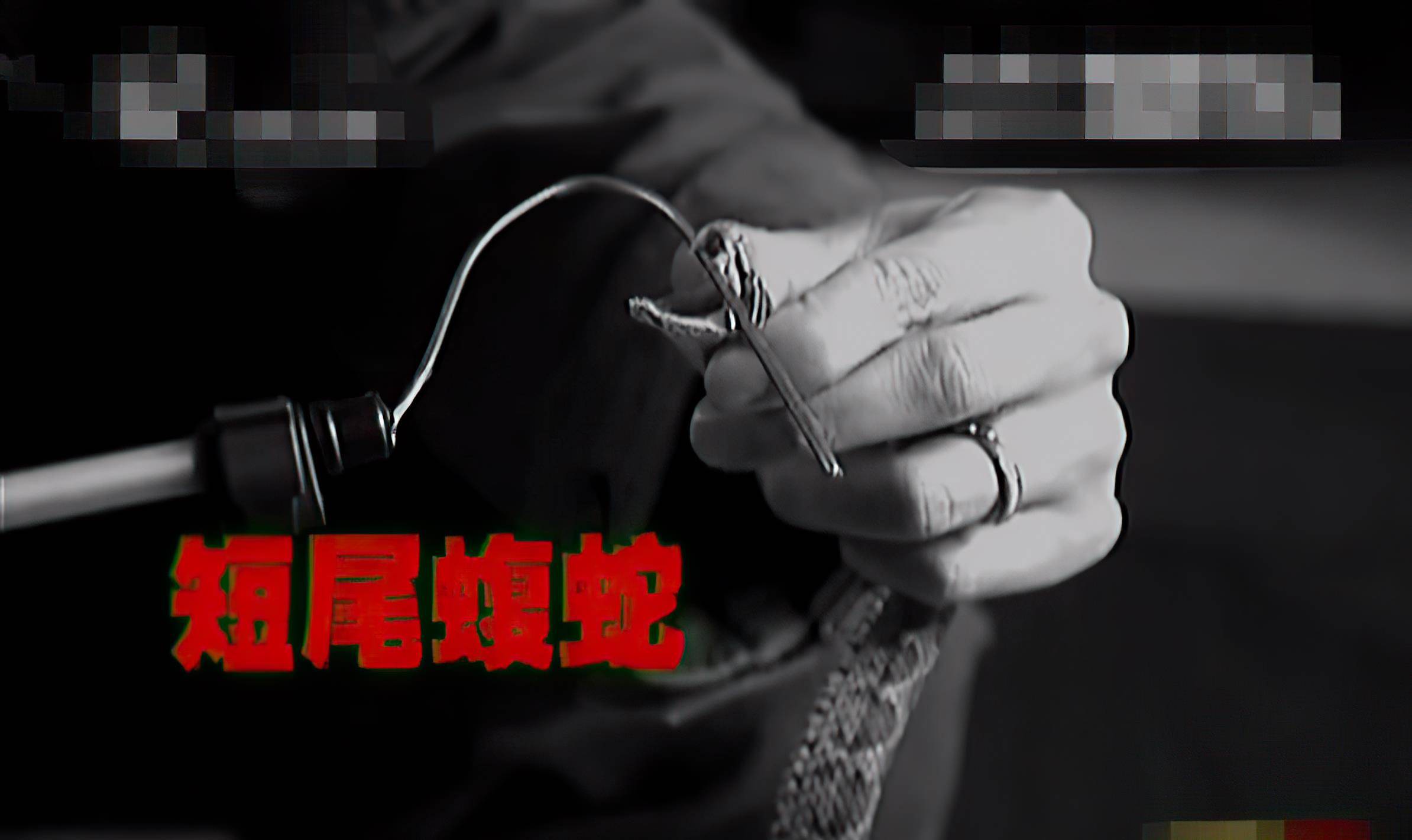 蛇蛇大作战q群礼包卡号_勇者大作战qq群礼包_sd敢达大作战礼包