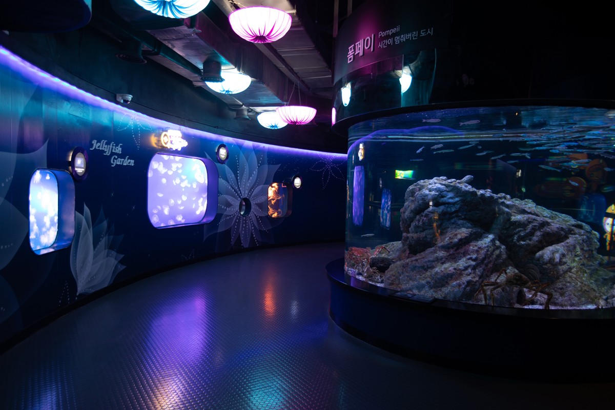 水族馆小游戏_水族馆游戏_水族馆手机游戏