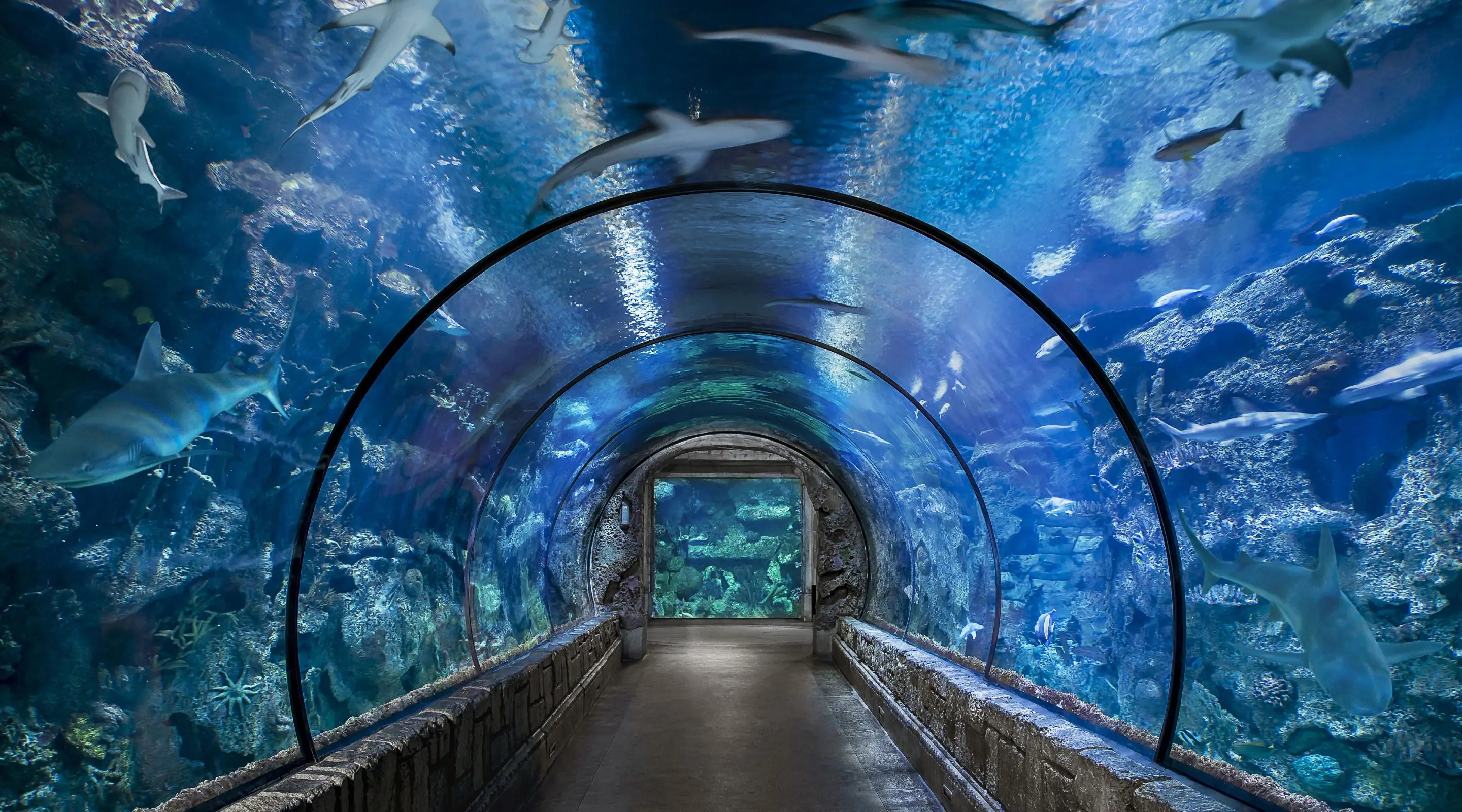 水族馆小游戏_水族馆手机游戏_水族馆游戏