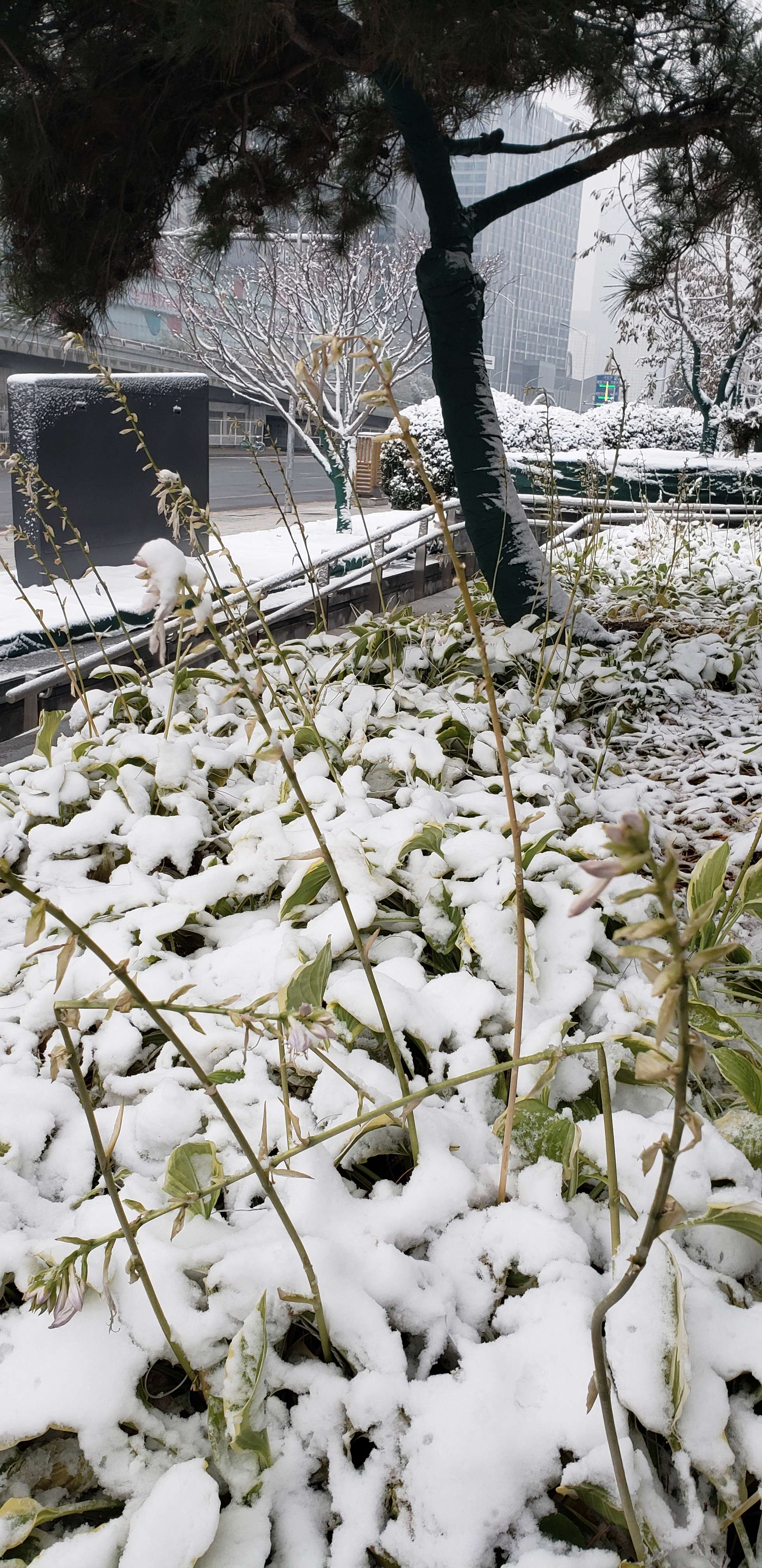 蜜雪寒游戏_静水寒游戏_极度深寒2游戏