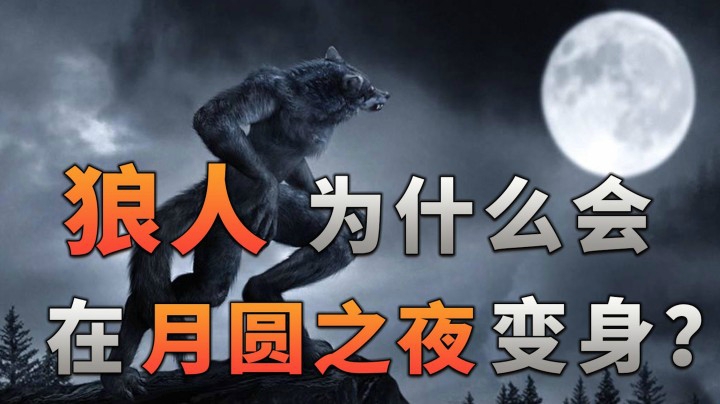 狼人说是回复什么意思_狼人说是回复怎么回复_别人说你是个狼人你怎么回复