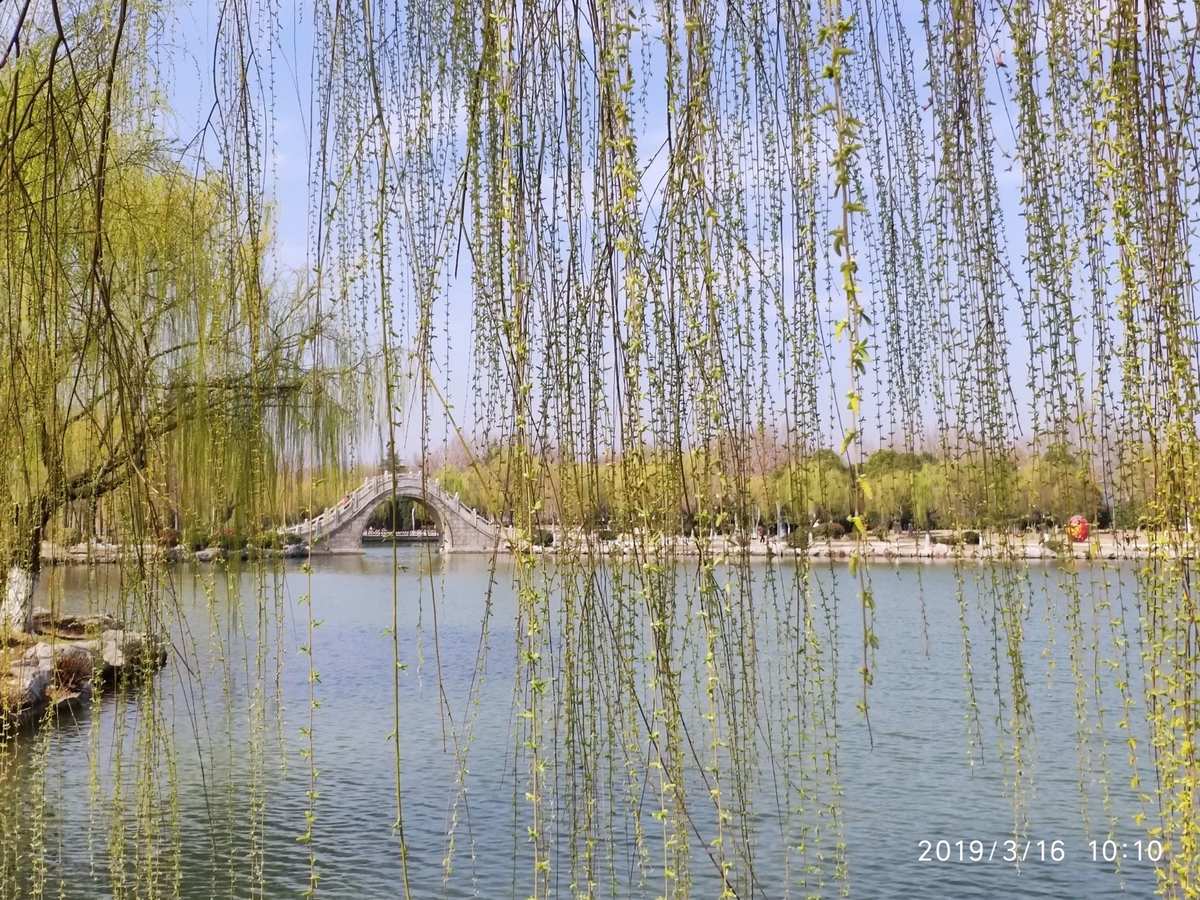 飘逸挂几档_飘逸挂档_飘逸挂