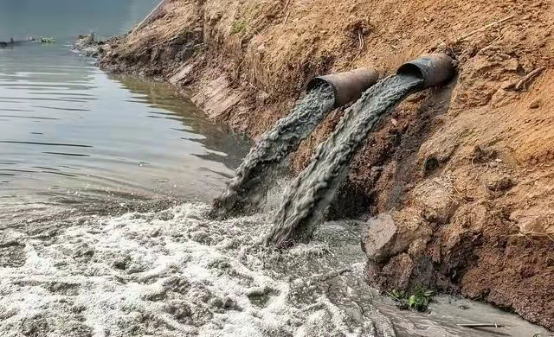 最强大脑水哥个人资料_最强大脑第二季水哥视频_最强大脑里面的水哥是哪一期