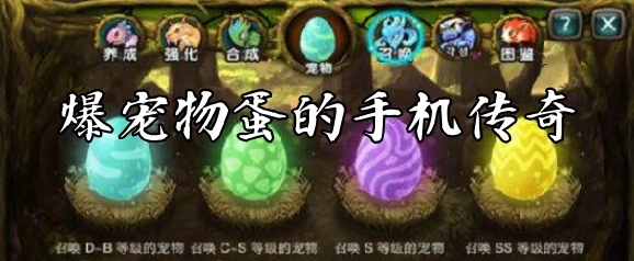 神魔之塔八戒进化_神魔之塔如何进化_神魔之塔翠绿的蛋进化