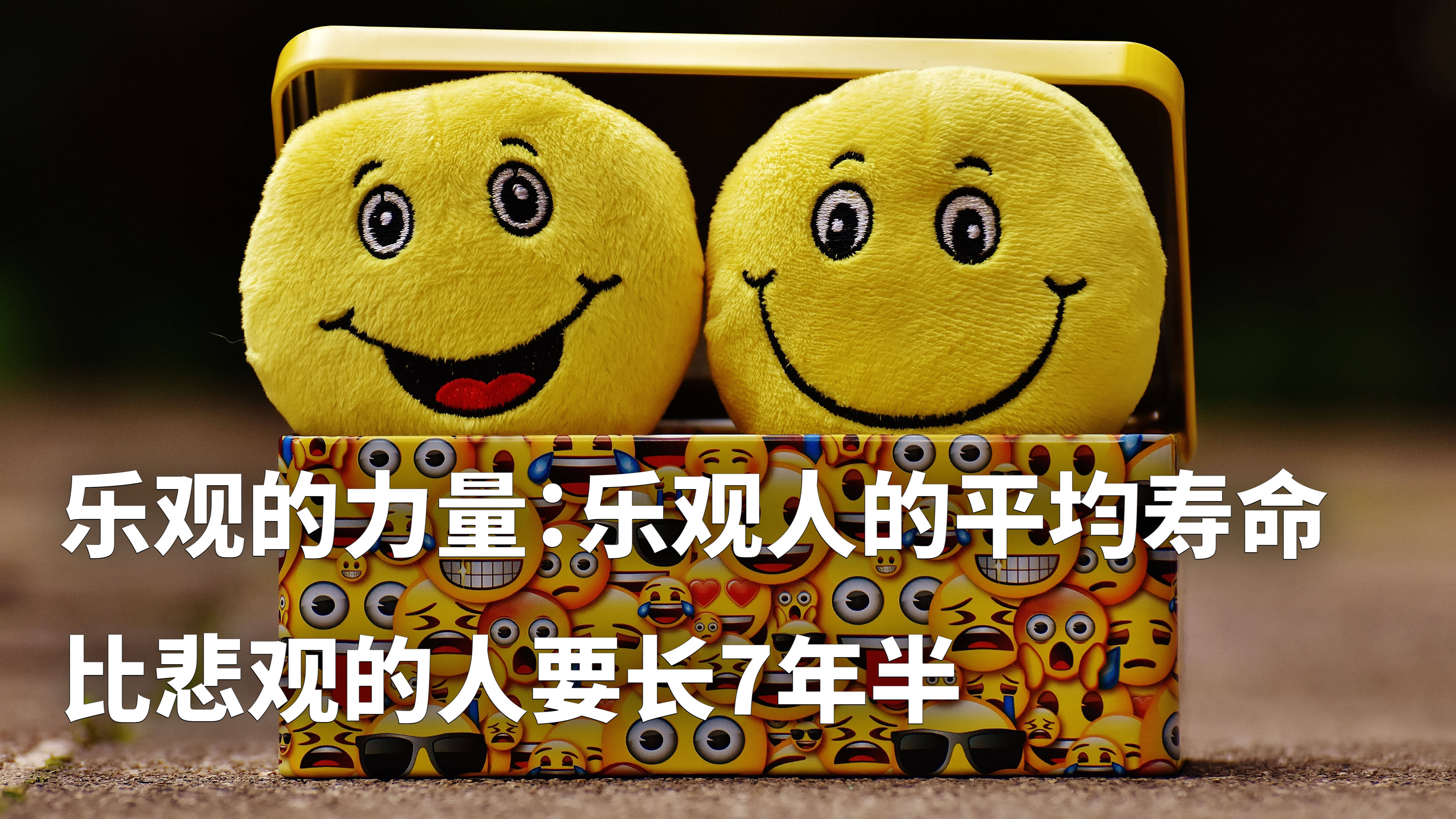 微信系统森破小子57_微信性系统森破小子56_微信系统森破小子73