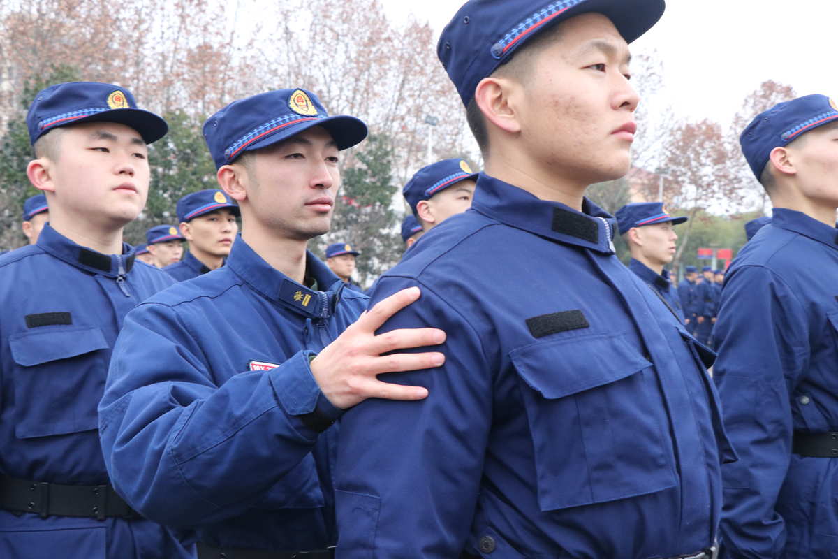 明日方舟资深干员tag搭配_明日方舟资深干员搭配支援_明日方舟资深干员词条一览