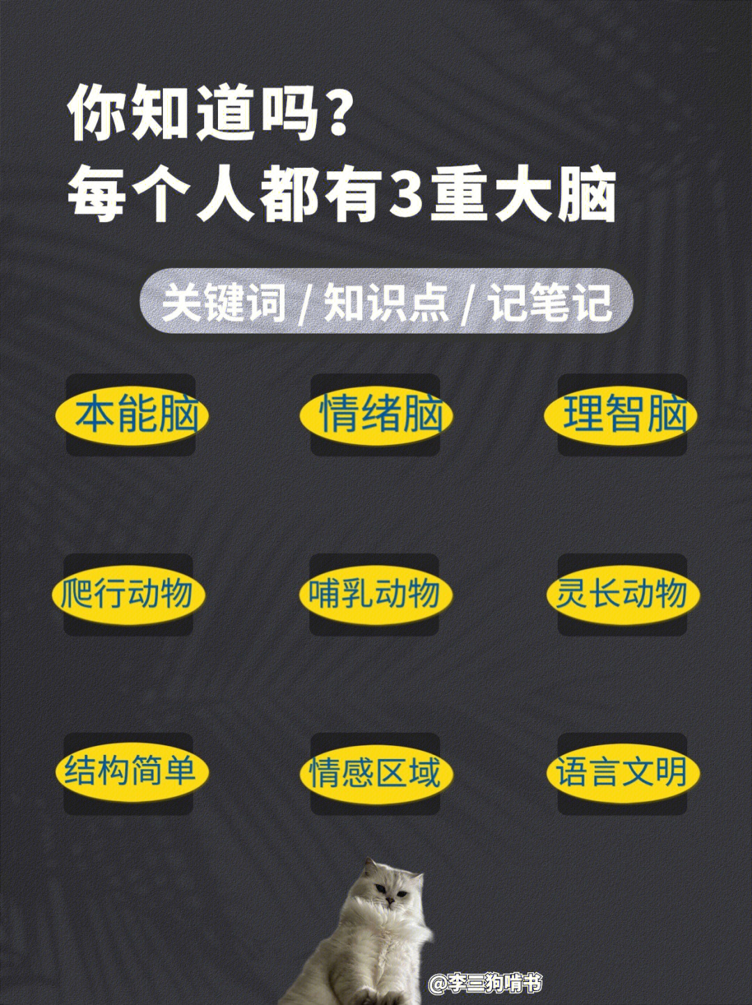 最强大脑里面的水哥是哪一期_最强大脑第二季水哥视频_最强大脑水哥个人资料
