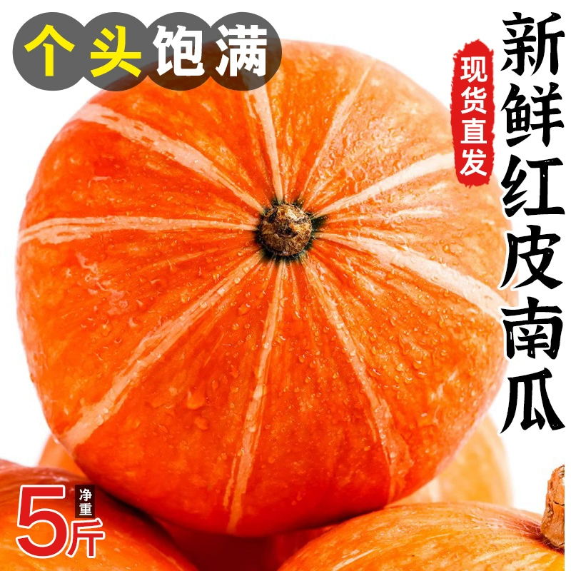 万圣节南瓜图片_南瓜万圣节图片著色_南瓜万圣节图片大全