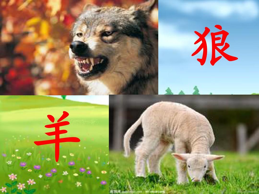 说我是狼人怎么回复_狼人说是回复什么意思_别人说你是个狼人你怎么回复