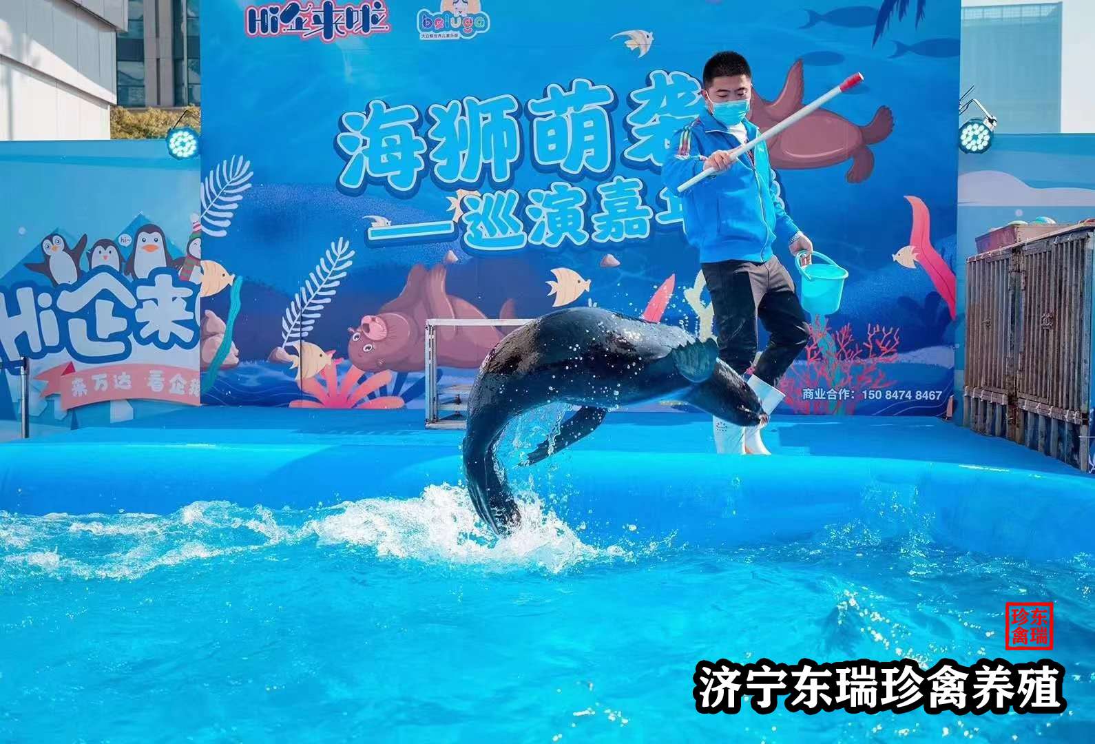 海洋水族馆游戏xiazai_海洋水族箱游戏_海洋水族馆攻略