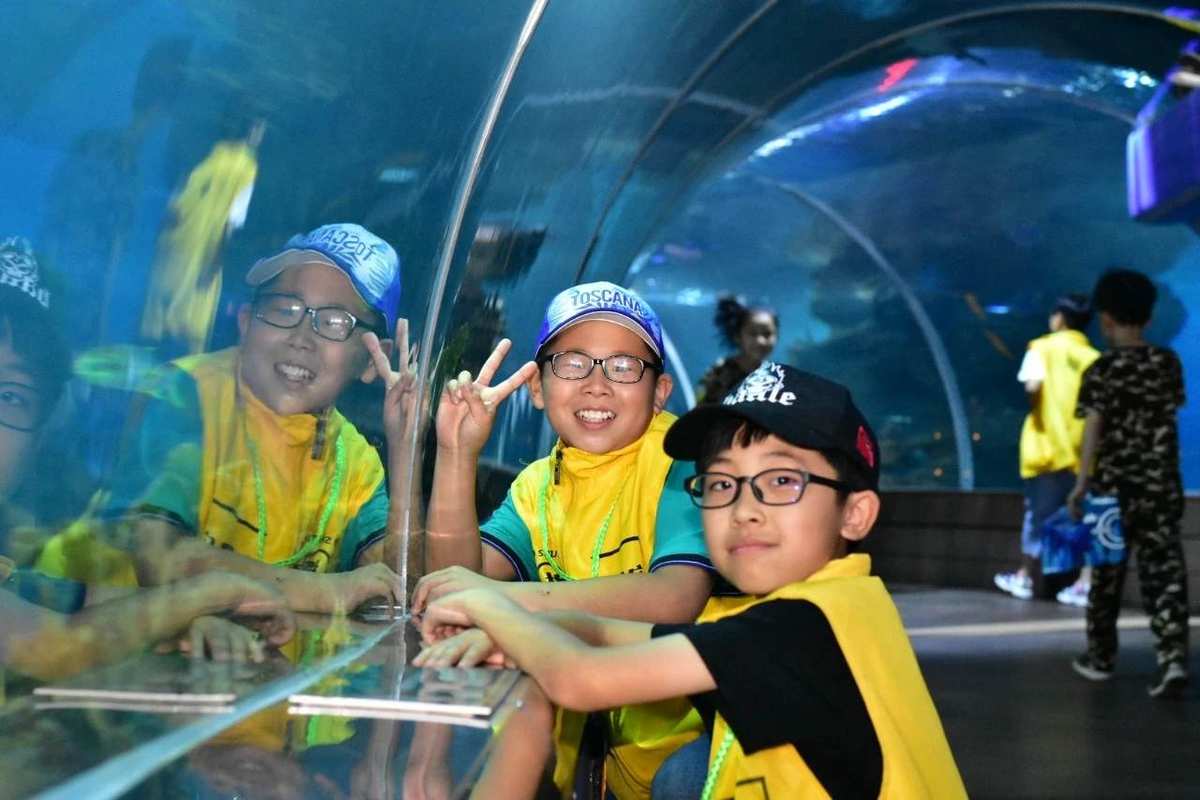 海洋水族馆攻略_海洋水族馆游戏xiazai_海洋水族箱游戏