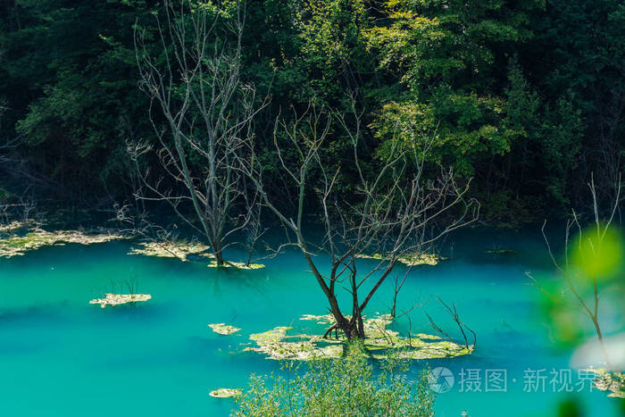 心渊_心渊梦境多少钱_情欲心渊