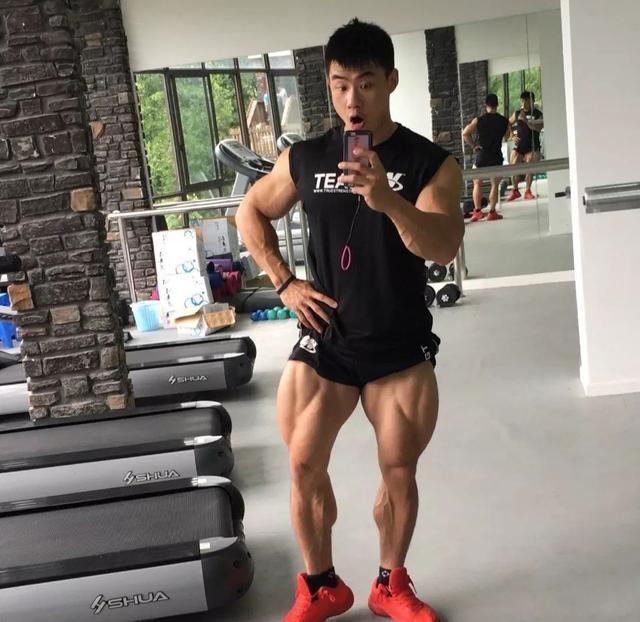身高比较图_身高比较高的男明星_身高比较