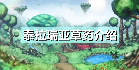 莹草_莹草御魂_莹草带什么御魂最好