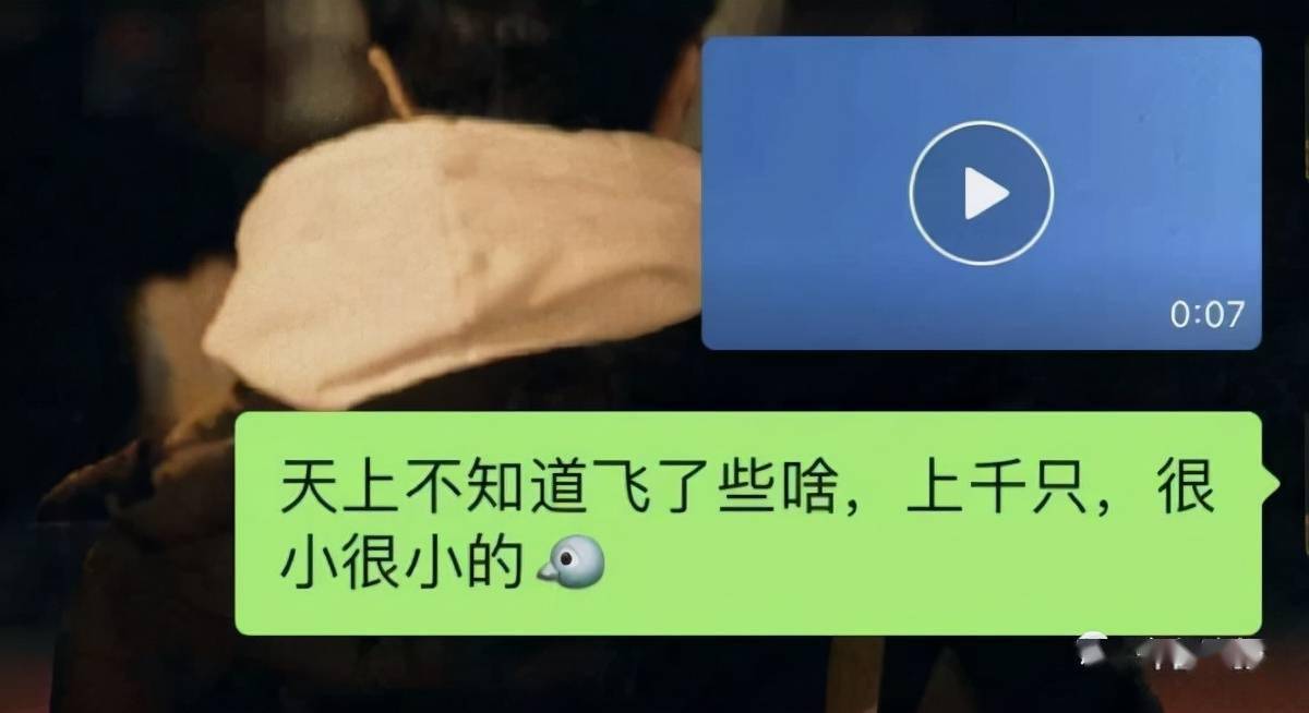 老王下载_老王下载的文件在哪找_老王下载安卓版2.2.20