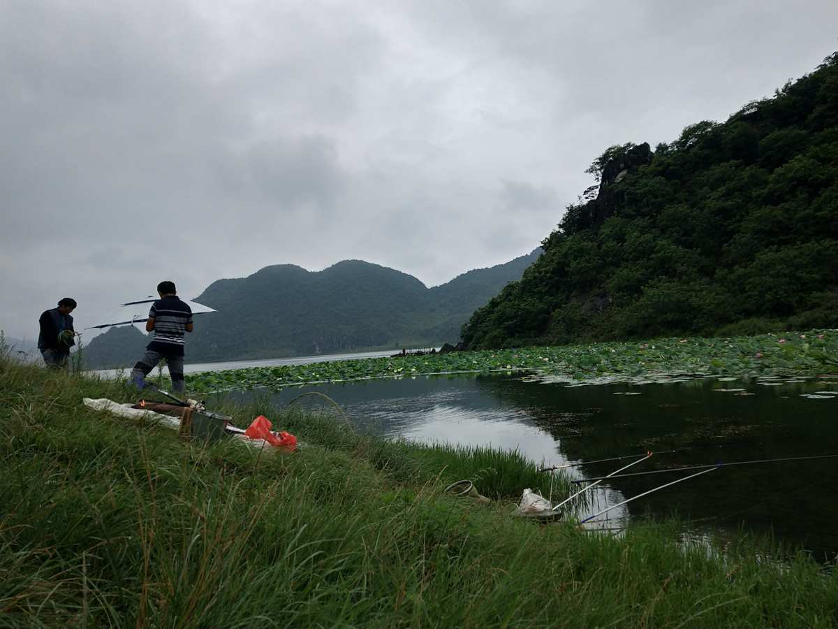 原神假龙钓鱼点_原神假龙钓鱼点_原神假龙钓鱼点