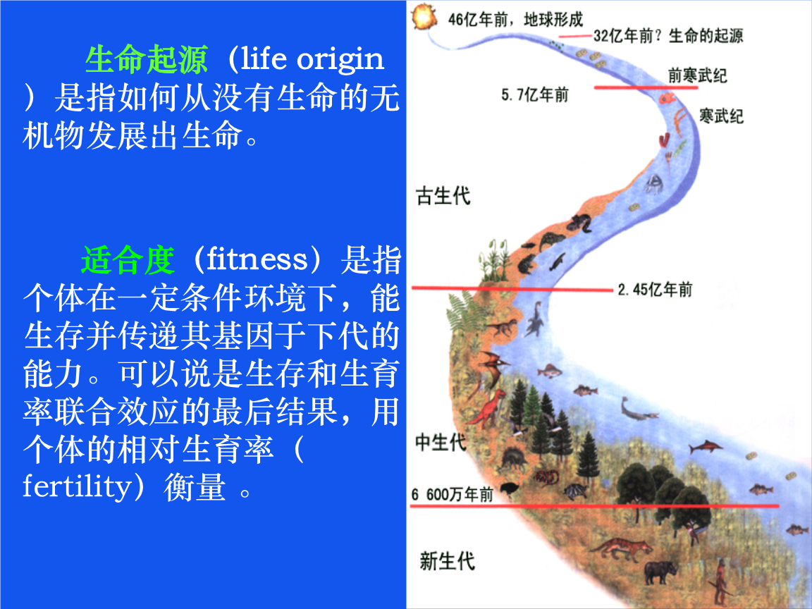 生命简史_生命简史怎么样_生命简史讲的是什么