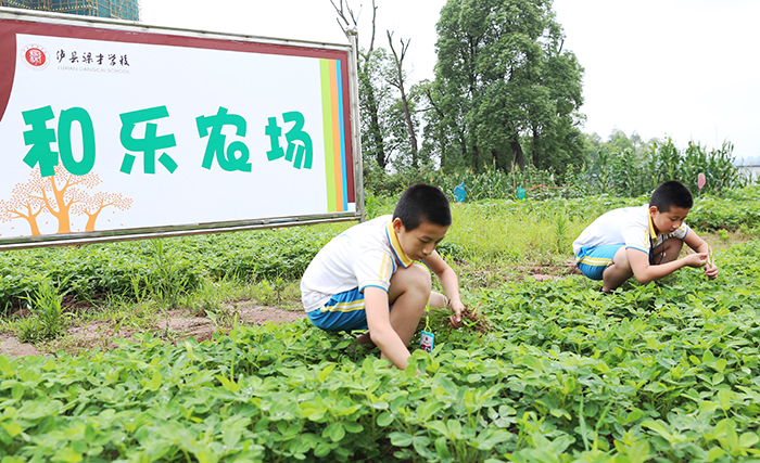 模拟游戏小心_模拟游戏小森_模拟小游戏