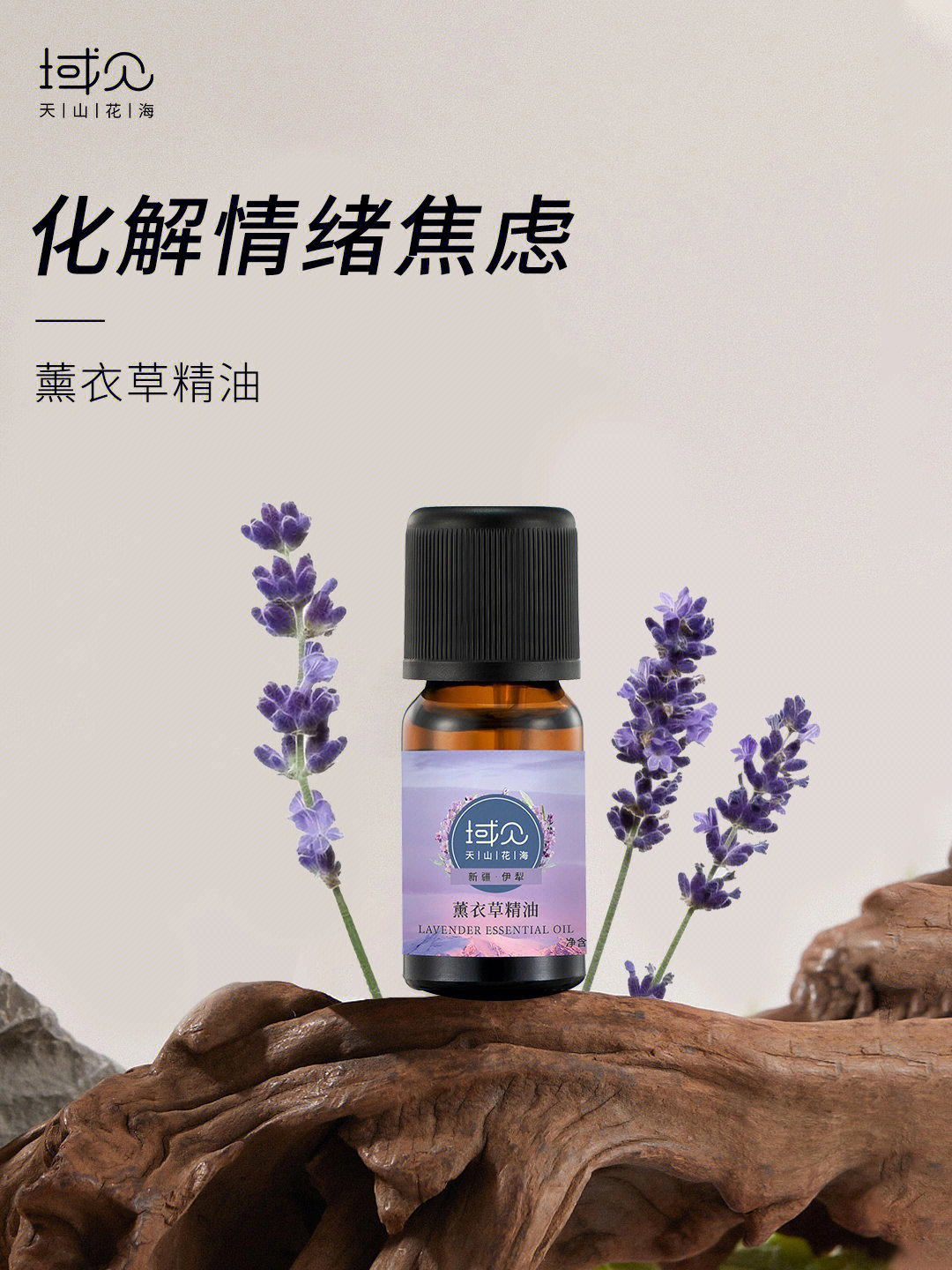 薰衣草实验研究隐藏入口_薰衣草实验研究隐藏入口_薰衣草实验研究隐藏入口