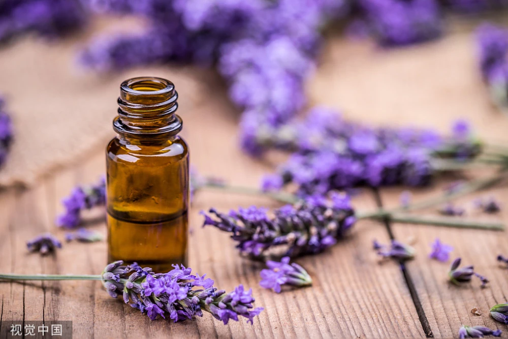 薰衣草实验研究隐藏入口_薰衣草实验研究隐藏入口_薰衣草实验研究隐藏入口