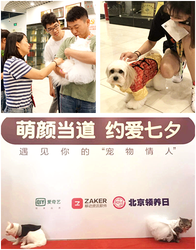 共享伴侣app下载_共享伴侣app下载_共享伴侣app下载