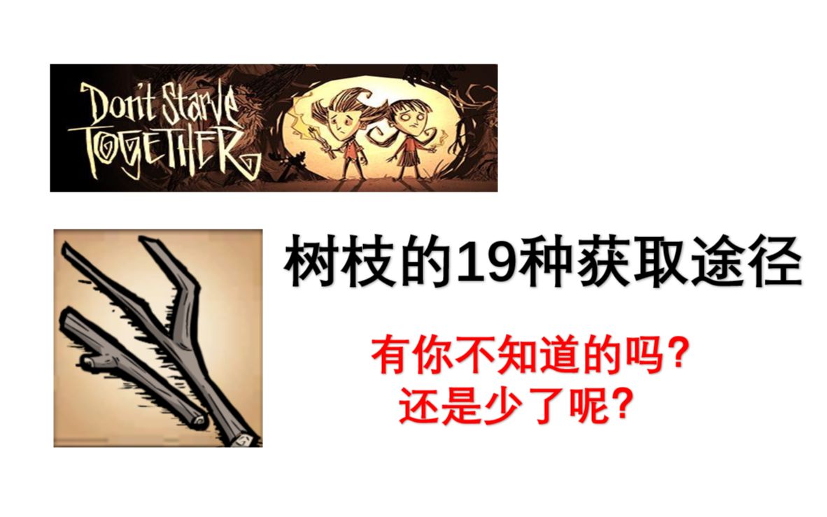 饥荒树枝代码_饥荒树枝代码_饥荒树枝代码