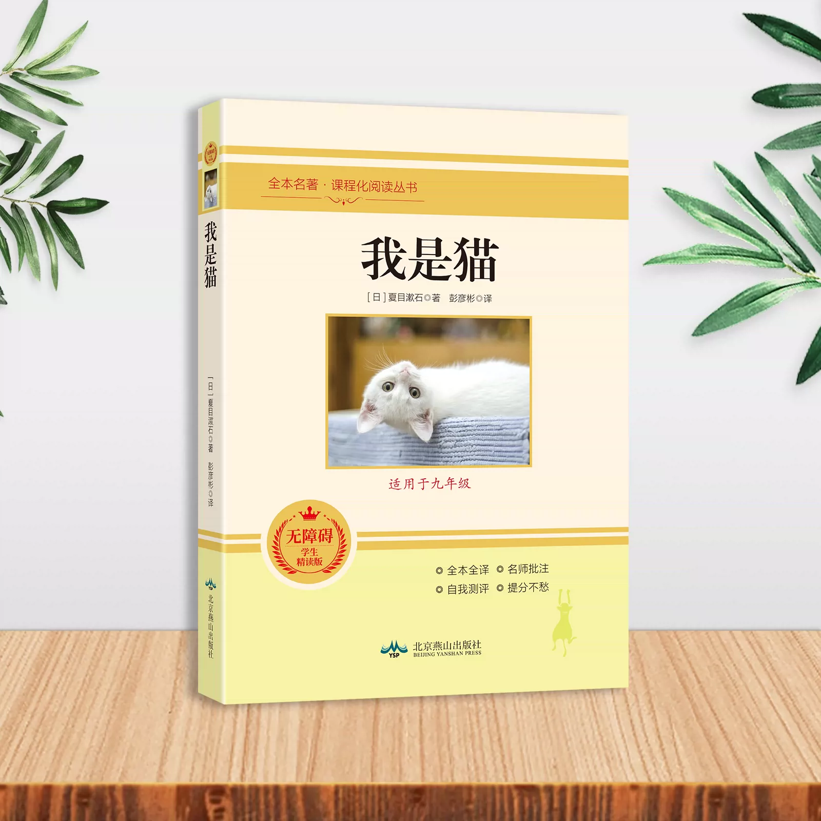 我的小汤姆猫下载免费_七猫小说免费下载_猫游记小说下载