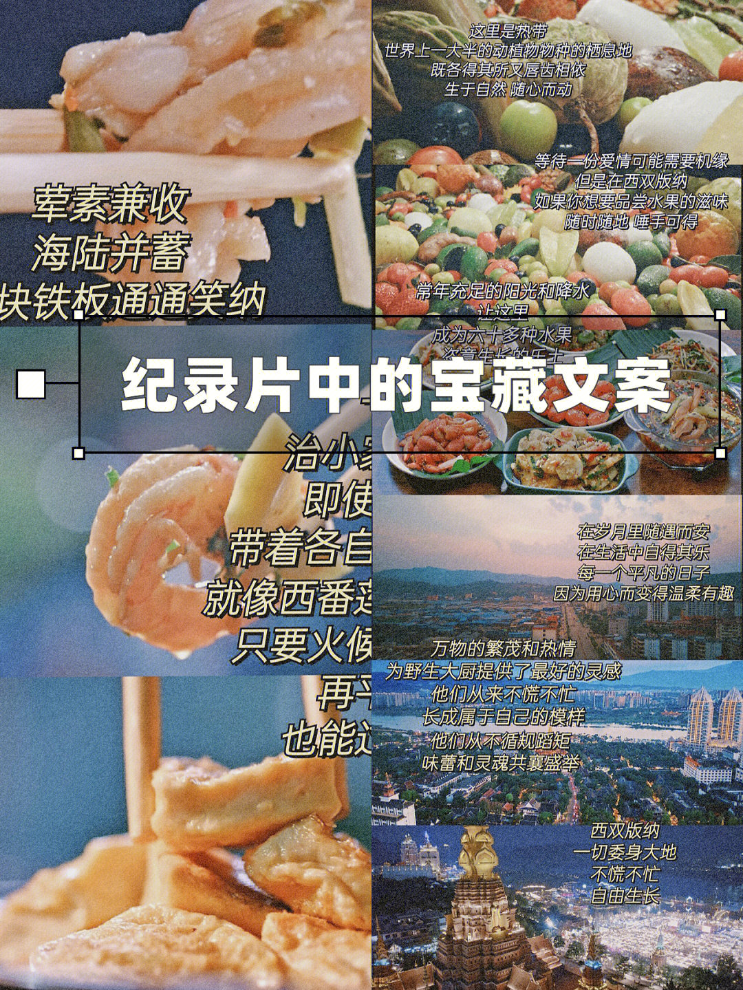 沙口是什么意思_沙是什么词_沙指什么