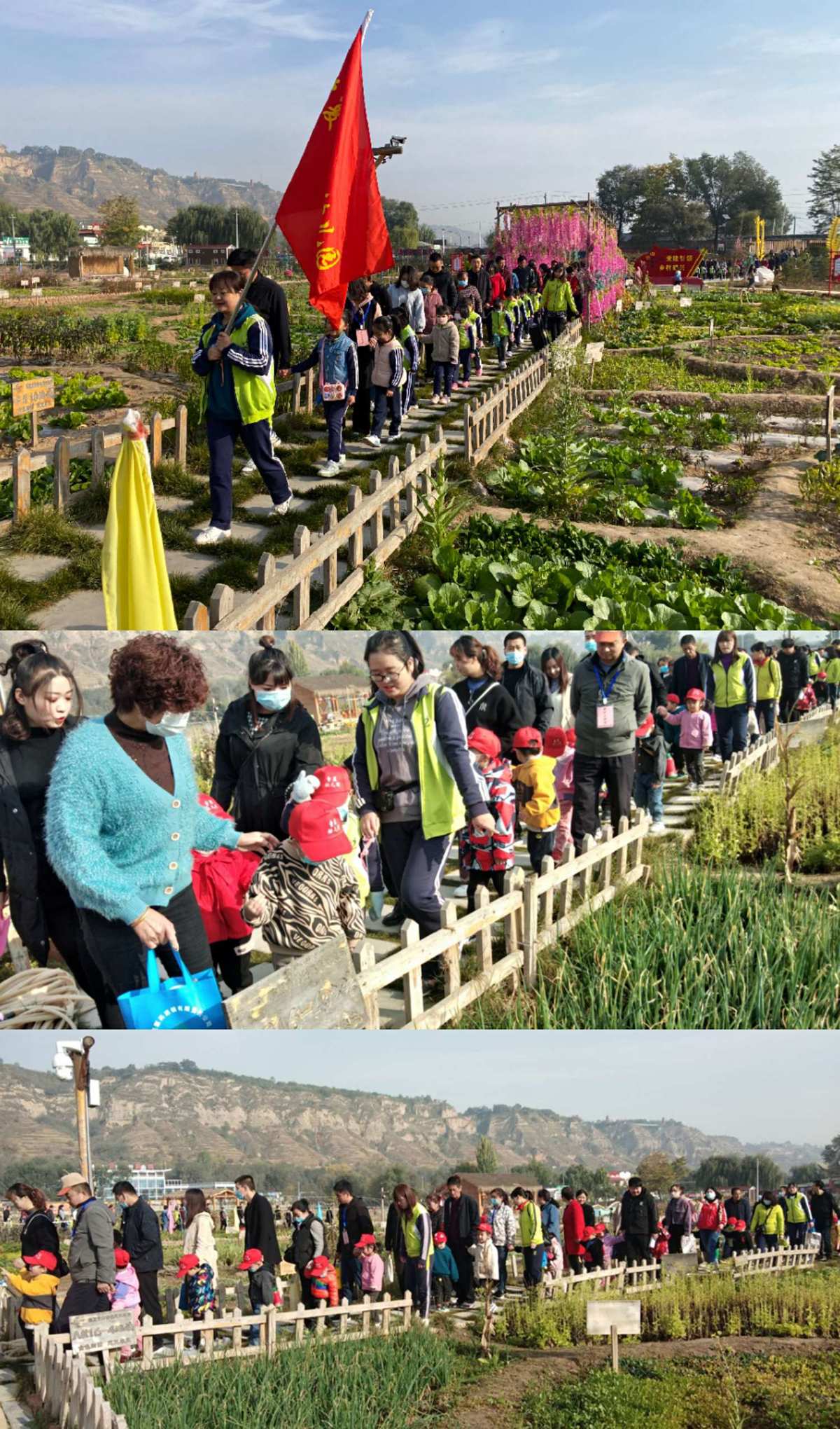 好玩的农场类游戏_农场类游戏排行榜_农场类游戏