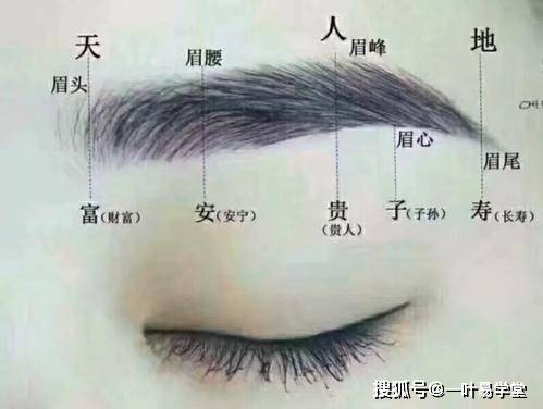 长眉灵猴_眉粗眉浓眉毛长好吗_by长眉灵猴