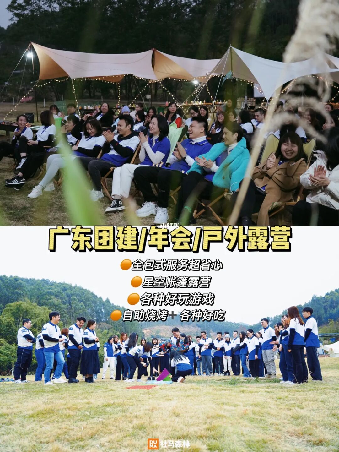 幸存者营地_营地幸存者是什么意思_营地幸存者