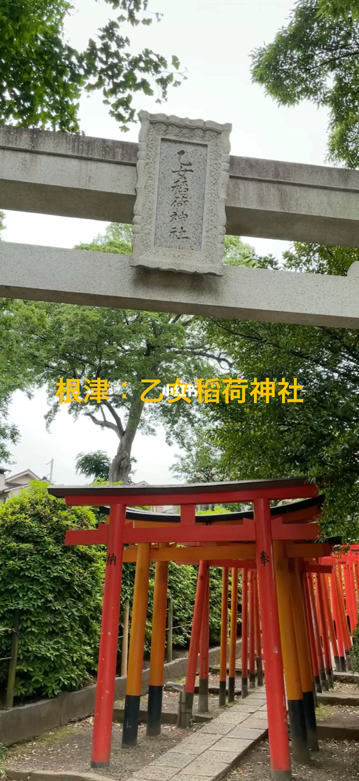 稻荷神御馔津一技能需要满吗_稻荷神御馔津带什么_稻荷神御馔津带什么御魂