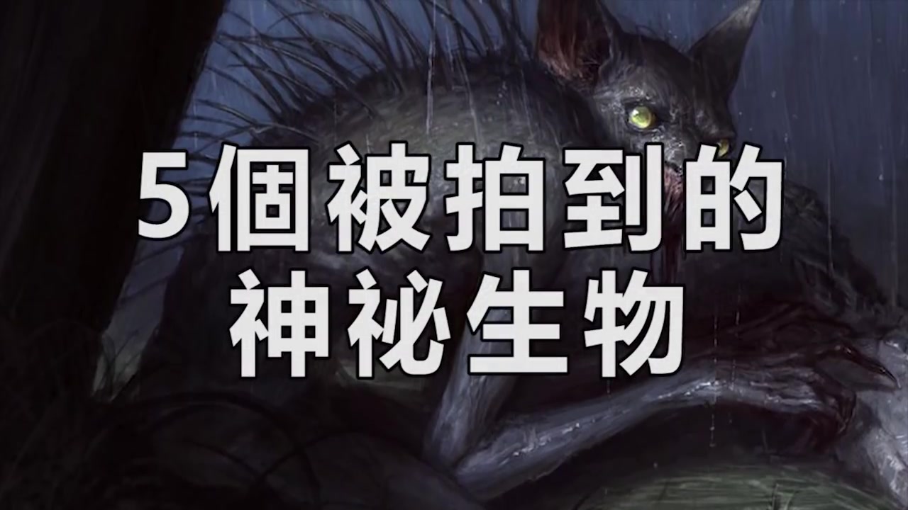岚龙太刀_岚龙_岚龙弱什么属性