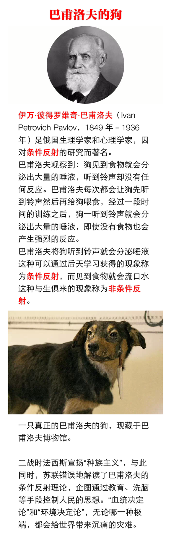 经典条件反射由前苏联心理学家巴浦洛夫发现_巴浦洛夫条件反射_巴甫洛夫联想反射