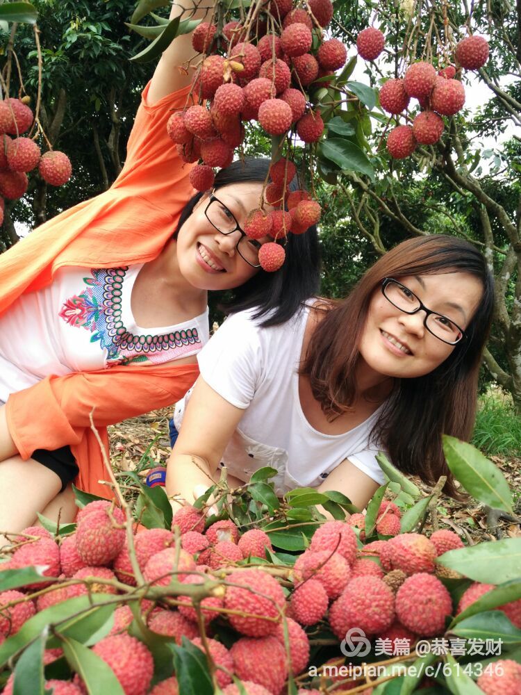 荔枝视频app美女_荔枝视频app美女_荔枝视频app美女