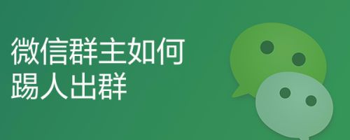 微信群主是第一个吗_怎么看微信群主是谁_微信群主是否可以撤回群员消息