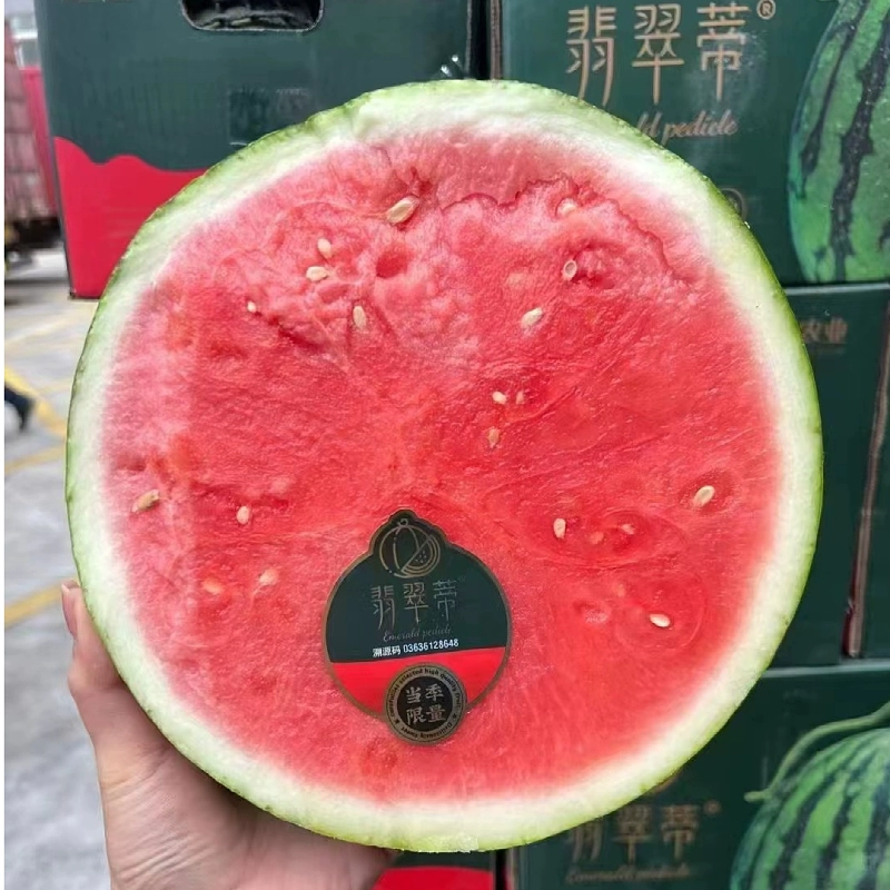 西瓜视频怎么恢复_西瓜食品_西瓜视频电视版叫什么