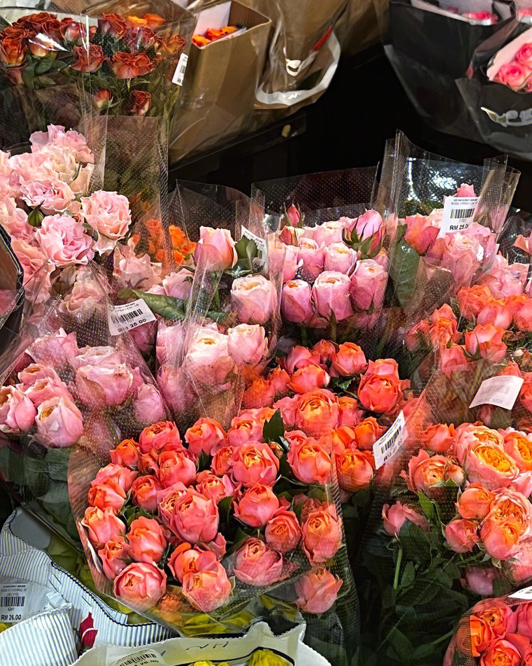 男人花歌曲伴车模是谁_花伴_归伴花幽独