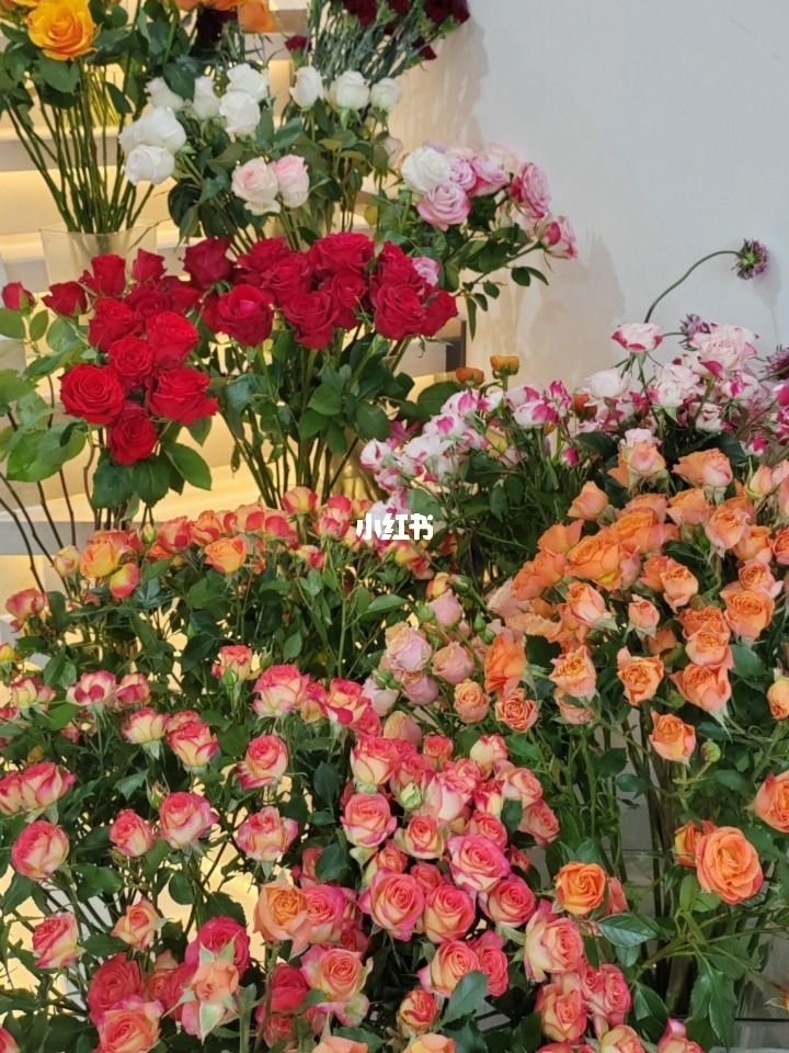 归伴花幽独_花伴_男人花歌曲伴车模是谁