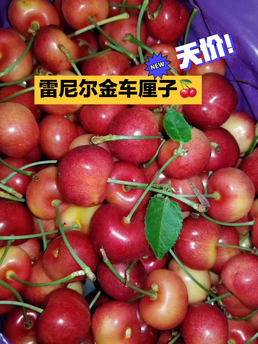 金樱桃新媒体文化传媒_金樱桃图片_金樱桃