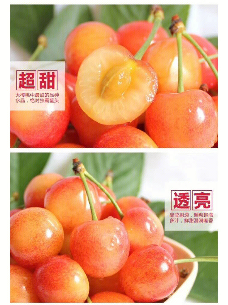金樱桃新媒体文化传媒_金樱桃_金樱桃图片