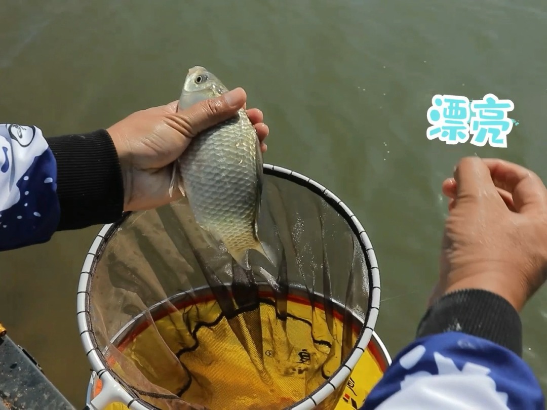 打鱼游戏_星力手游打鱼_打鱼游