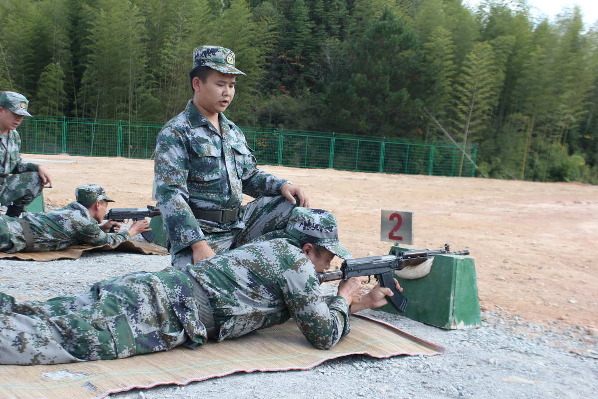 射击类的单机游戏_射击类单机大作_射击单机游戏