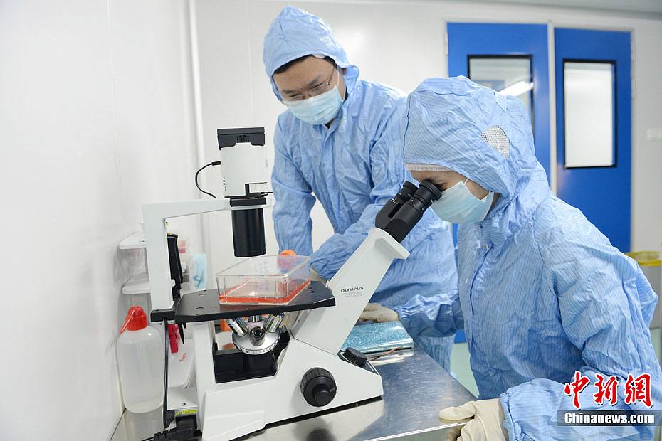 生化危机下载手机版免费_野比大雄的生化危机下载_生化危机1下载