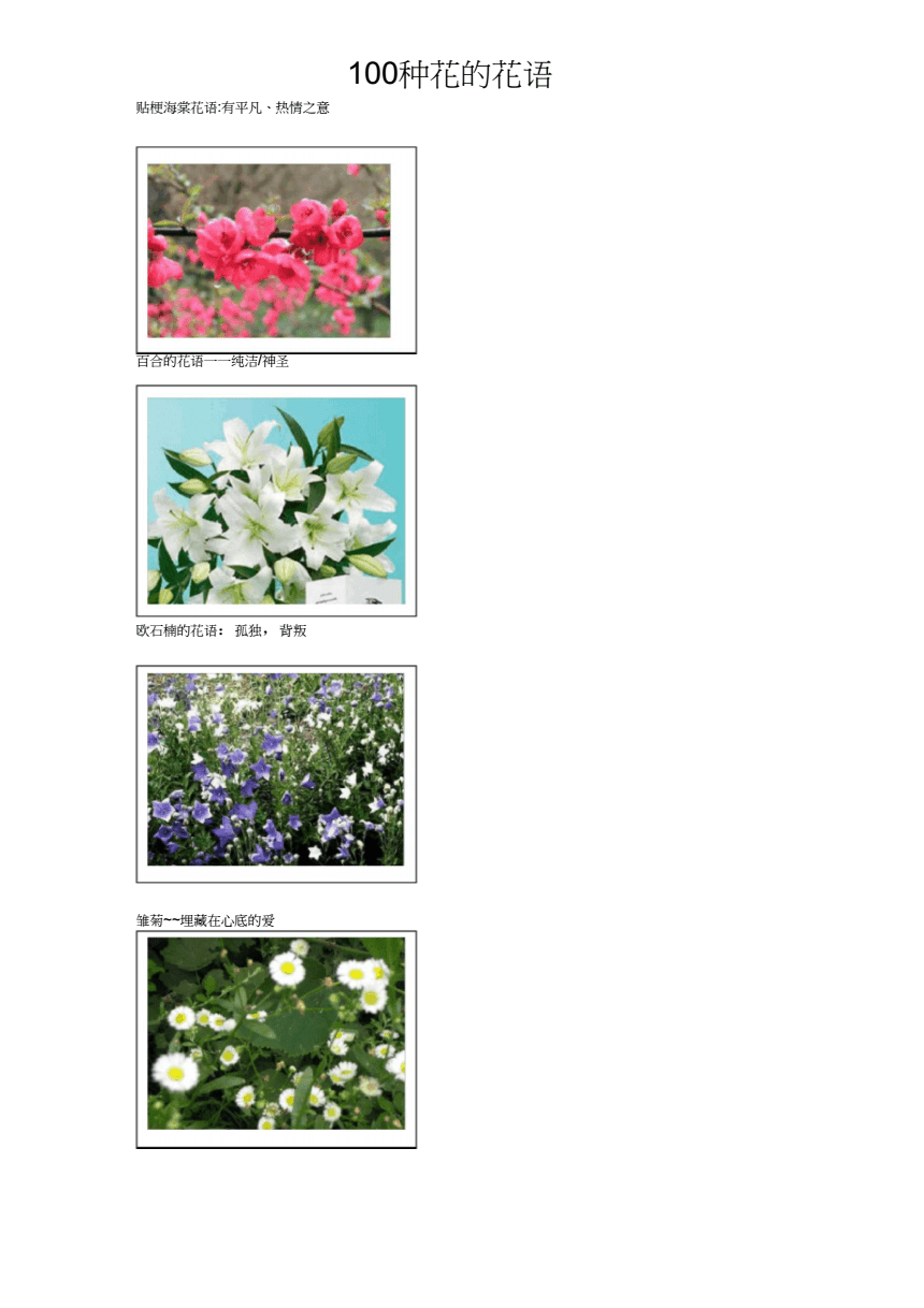疾花空间设计_疾花体字_花疾