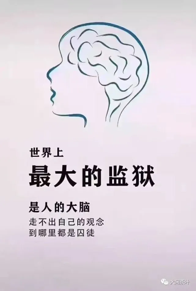 监狱公主_监狱公主_监狱公主